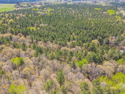 Tbd Deacon Drive - Parcel B Park Rapids MN 56470