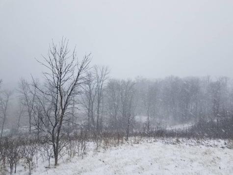 24793 Franklin Lake Road Pelican Rapids MN 56572
