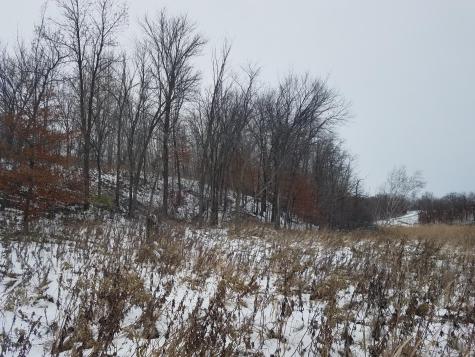 24793 Franklin Lake Road Pelican Rapids MN 56572