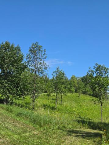 24793 Franklin Lake Road Pelican Rapids MN 56572