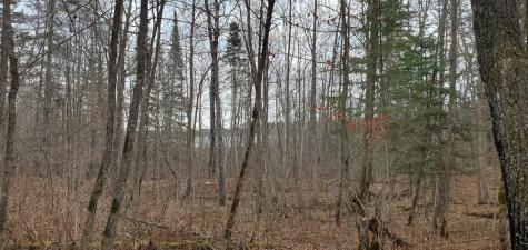 Tbd - Tract 2 Ticonderoga Trail Hackensack MN 56425