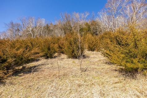 Tbd Semling Lane Fountain City WI 54629