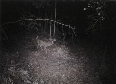 Tbd Semling Lane Fountain City WI 54629