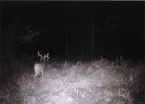 Tbd Semling Lane Fountain City WI 54629