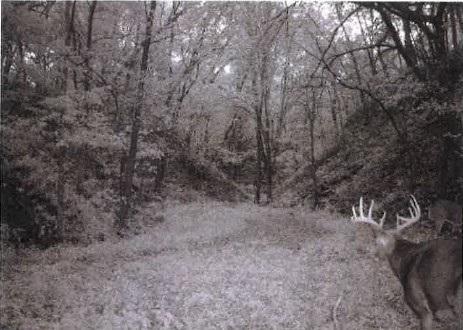 Tbd Semling Lane Fountain City WI 54629