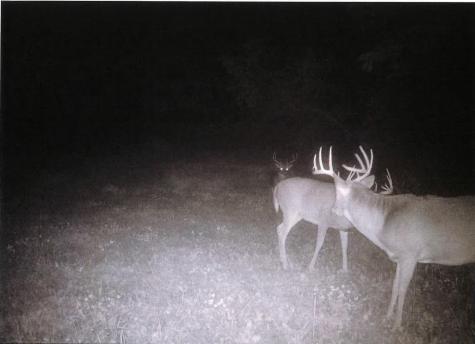 Tbd Semling Lane Fountain City WI 54629