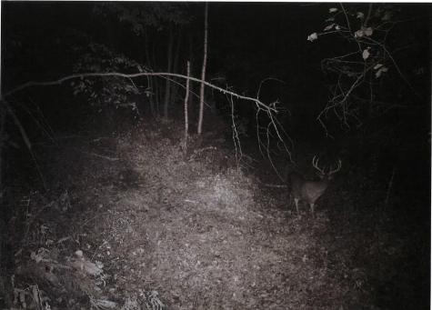 Tbd Semling Lane Fountain City WI 54629