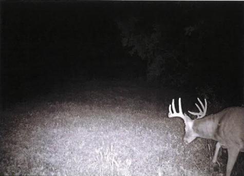 Tbd Semling Lane Fountain City WI 54629