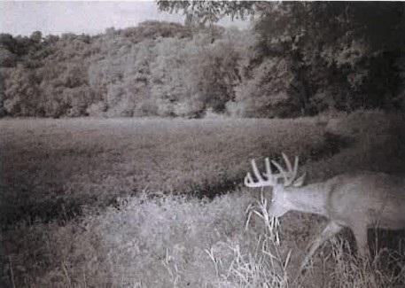 Tbd Semling Lane Fountain City WI 54629