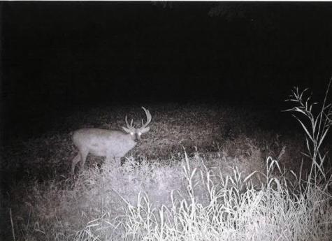 Tbd Semling Lane Fountain City WI 54629