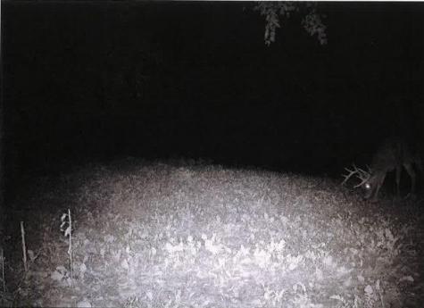 Tbd Semling Lane Fountain City WI 54629