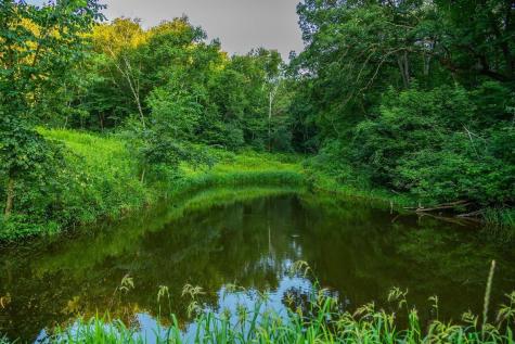 0 Co Road S Blair WI 54616