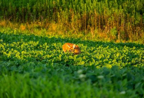 0 Co Road S Blair WI 54616