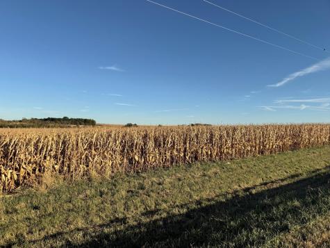 Tbd 270th Avenue SW Hayfield MN 55940