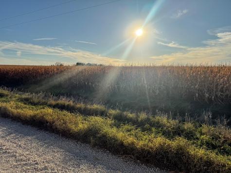 Tbd 270th Avenue SW Hayfield MN 55940