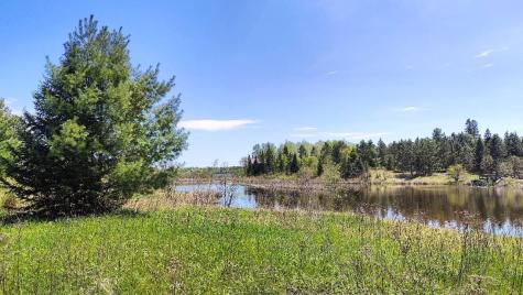 80052 Tamarack Trail Tower MN 55790