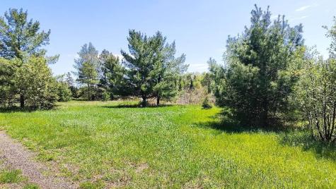 80052 Tamarack Trail Tower MN 55790