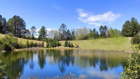 80052 Tamarack Trail Tower MN 55790