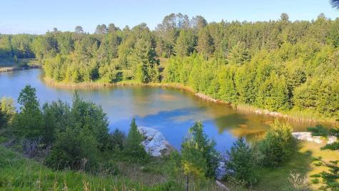 80052 Tamarack Trail Tower MN 55790
