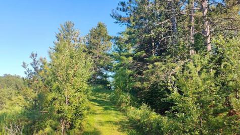 80052 Tamarack Trail Tower MN 55790