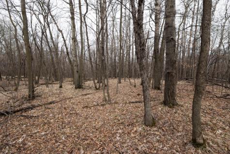 Lot 6 Saylers Beach Road Lake Park MN 56554