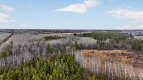 36046 229th Avenue Menahga MN 56464