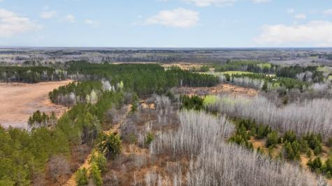 36046 229th Avenue Menahga MN 56464