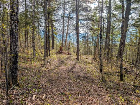 992 Nemadji River Road Holyoke MN 55749