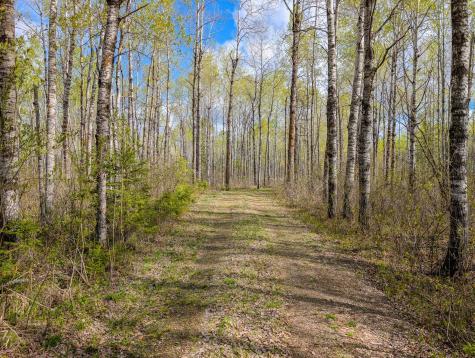 992 Nemadji River Road Holyoke MN 55749