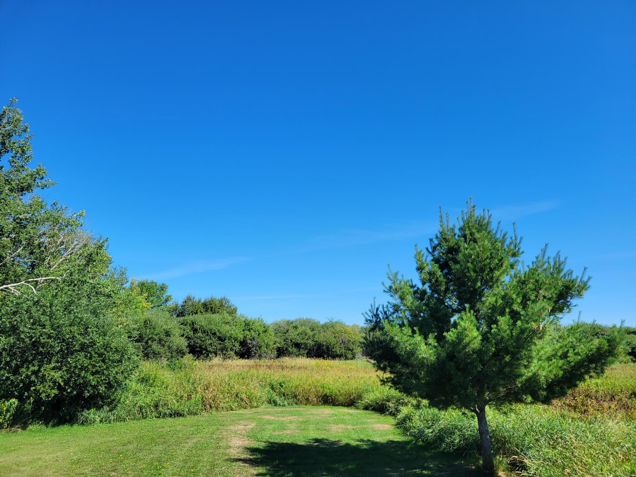 Xxxxx 246th Street Wealthwood Twp MN 56431