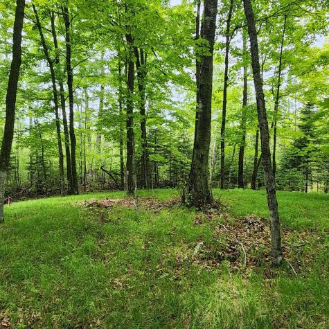 3157 4th Avenue NW Longville MN 56655