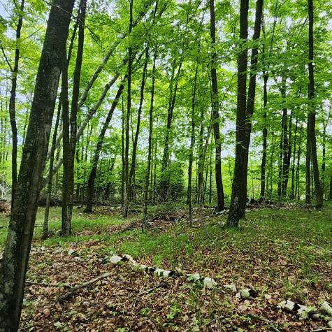 3157 4th Avenue NW Longville MN 56655