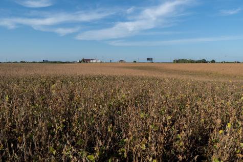 41474 460 Street Perham MN 56573