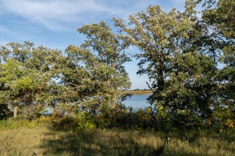 41474 460 Street Perham MN 56573