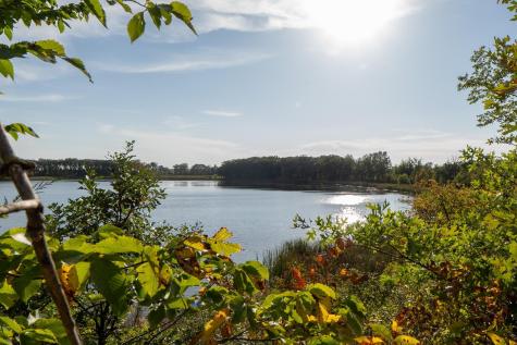 41474 460 Street Perham MN 56573