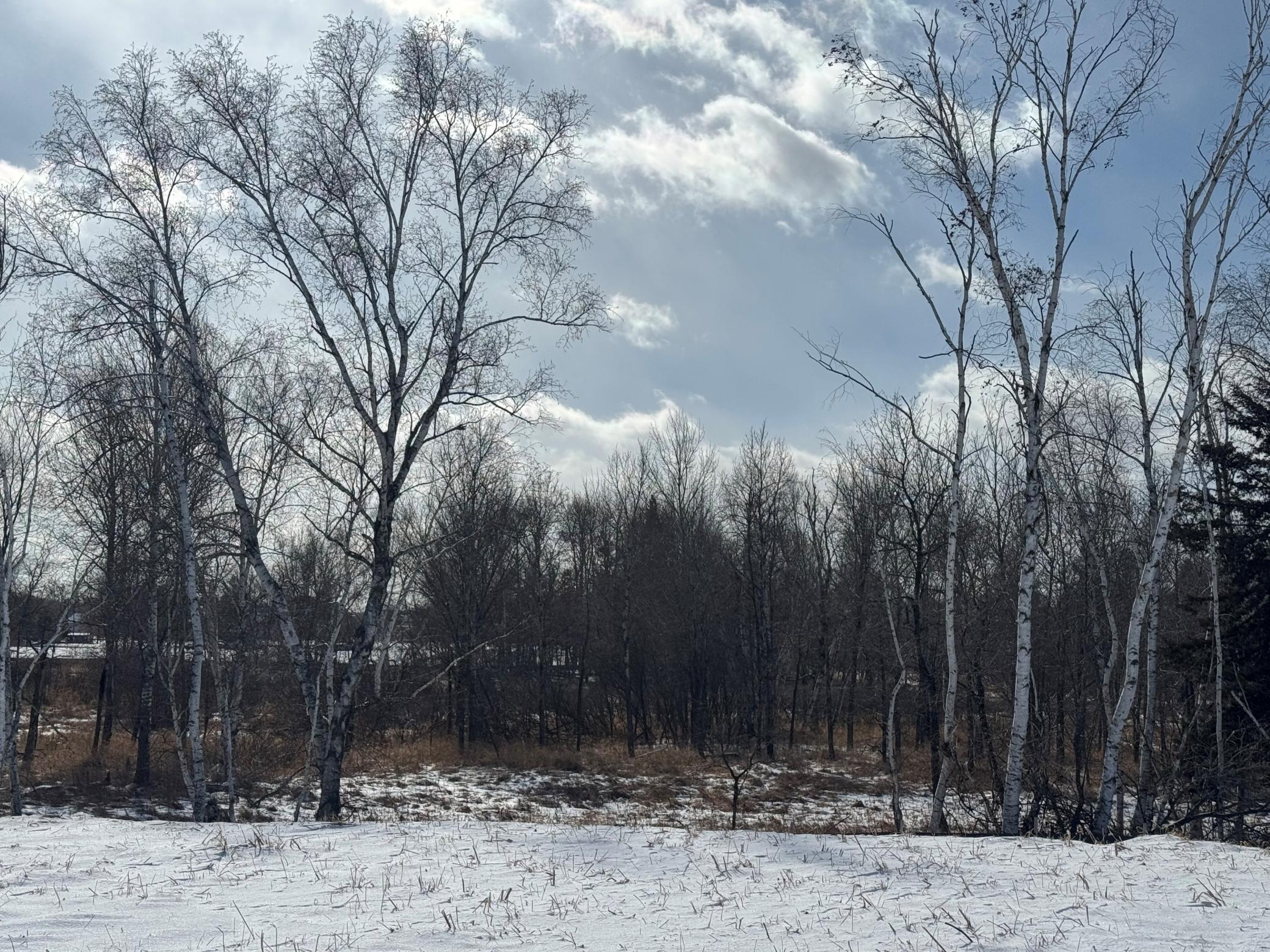 2458 179th Avenue NE Ham Lake MN 55304
