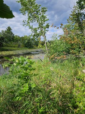_ __birch Circle Drive NW Baudette MN 56623