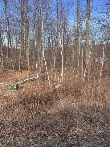 Xxx Lake Camile Road Cushing MN 56443