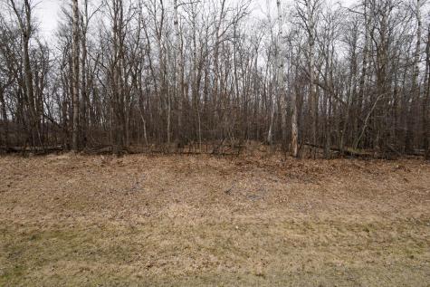 Lot 3 Saylers Beach Road Lake Park MN 56554