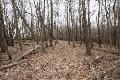Lot 3 Saylers Beach Road Lake Park MN 56554