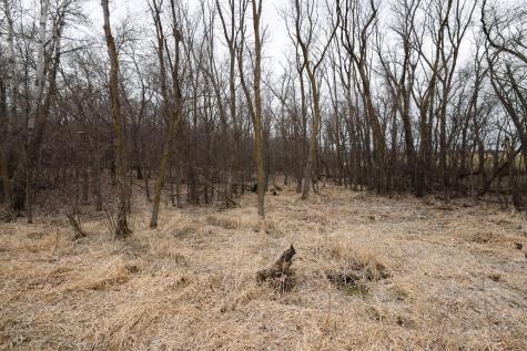 Lot 3 Saylers Beach Road Lake Park MN 56554