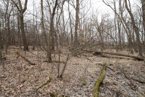 Lot 3 Saylers Beach Road Lake Park MN 56554