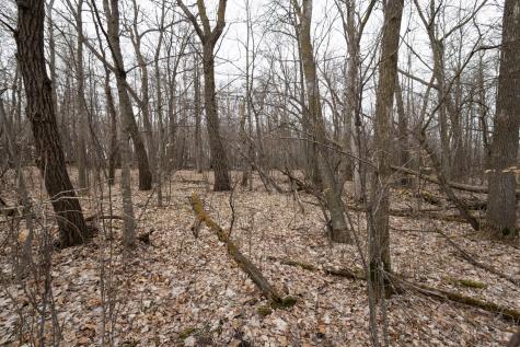 Lot 3 Saylers Beach Road Lake Park MN 56554