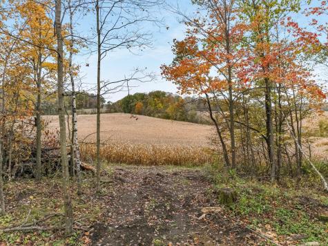 Tbd Lot 1 1270th Avenue New Haven Twp WI 54013