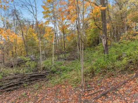 Tbd Lot 1 1270th Avenue New Haven Twp WI 54013