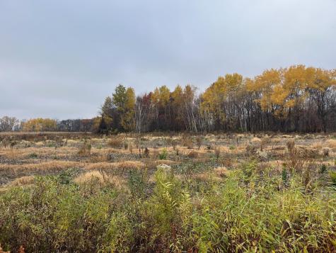 Tbd (Lot 2) Brunswick Road Stanchfield MN 55080