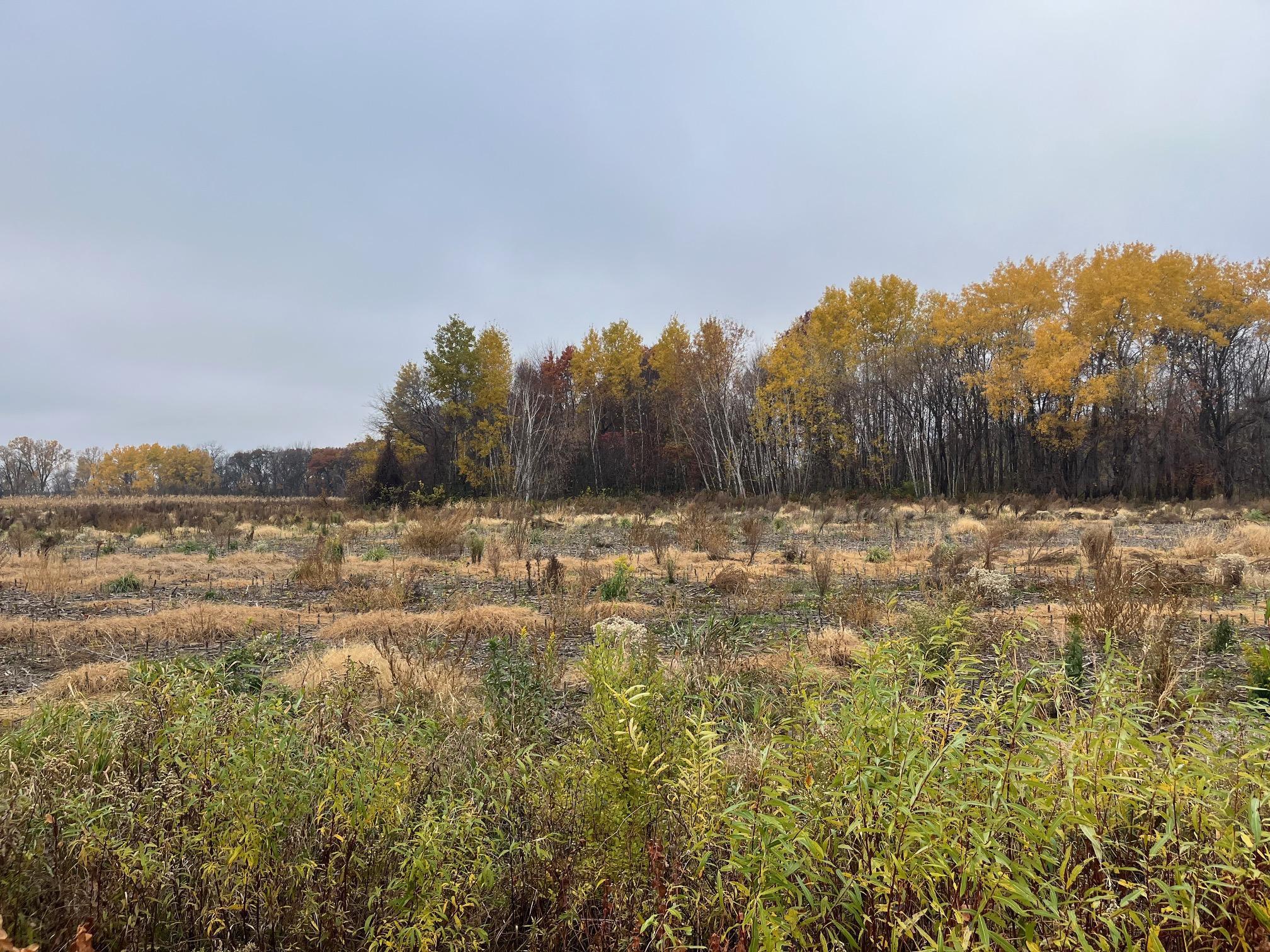 Tbd (Lot 2) Brunswick Road Stanchfield MN 55080
