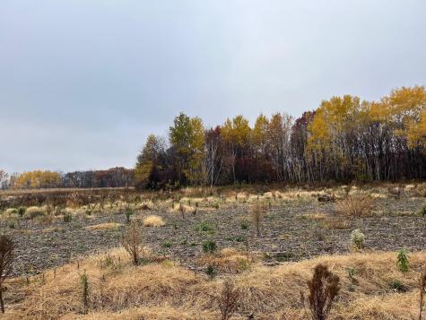 Tbd (Lot 2) Brunswick Road Stanchfield MN 55080