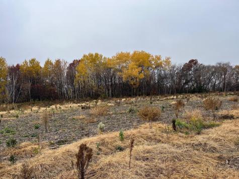 Tbd (Lot 2) Brunswick Road Stanchfield MN 55080