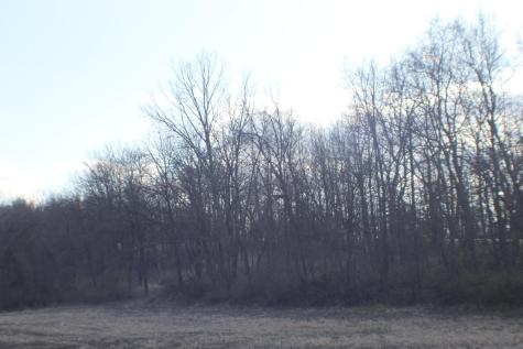 Xxxxb Kings Park Road NW Oronoco Twp MN 55960